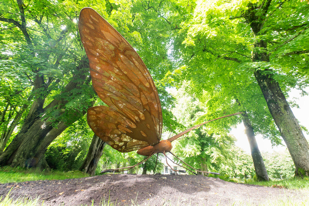 Vlinder labyrint - foto: Marcel van Kammen